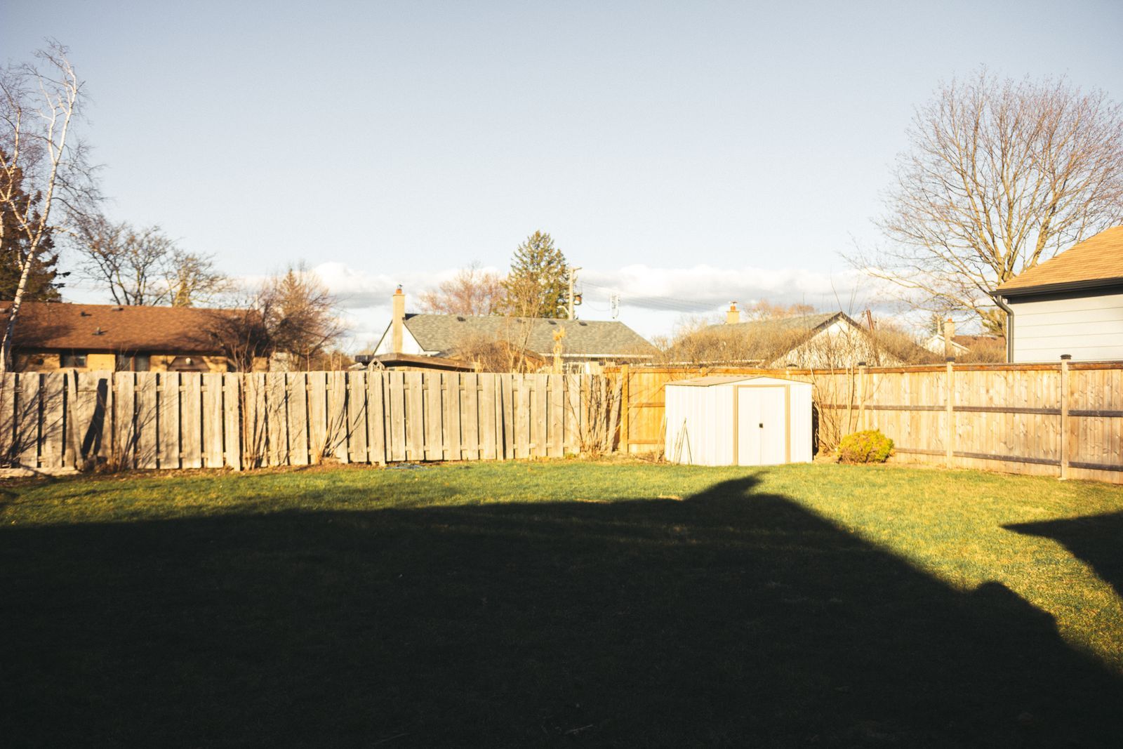 A fenced backyard with a lawn and a small storage shed